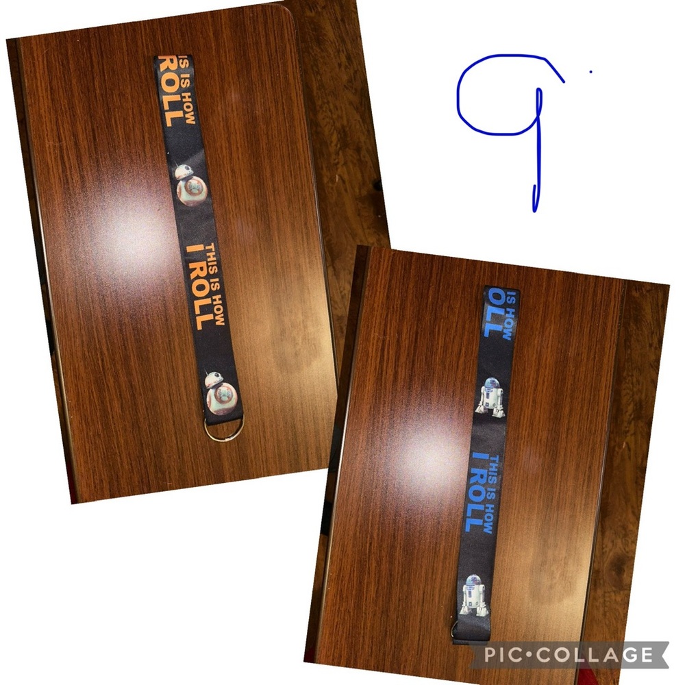 Bb8/R2D2 pin lanyard Disney